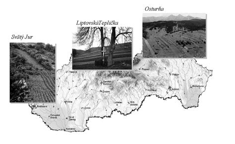 A három csíralemez elhelyezkedése