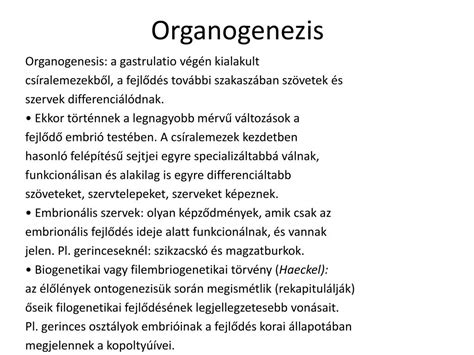 A három csíralemez származékai