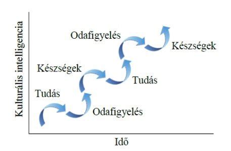 A jogrendszer fejlődési folyamata