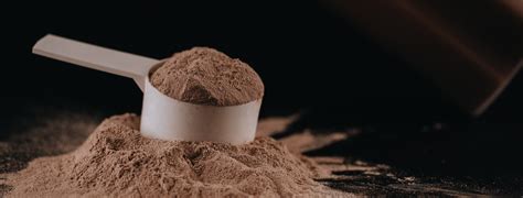 Különböző fehérjeporok