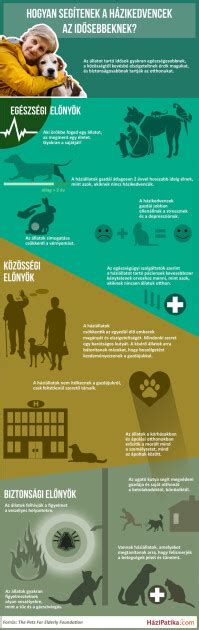 Infografika: A kutya autósülés használatának előnyei