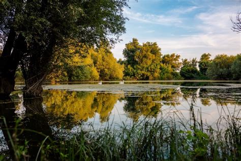 Tóparti táj a Degenfeld Kastély Tóparti Vendégház közelében