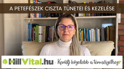 A petefészek stimulációjának folyamata