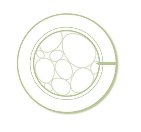 Asszisztált hatching eljárásának szemléltetése