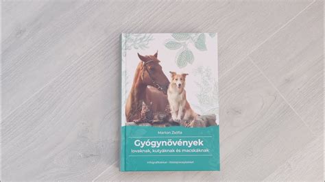 útlevél és oltási könyv kutyáknak