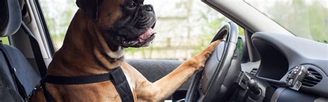 gyermekülés elhelyezése az autóban