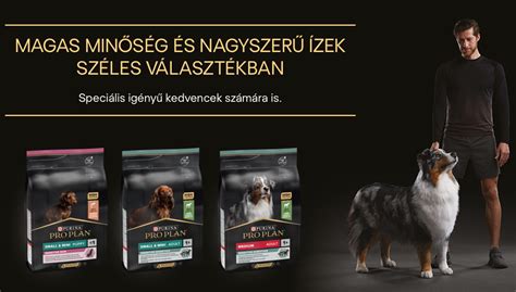 Különböző kutyaeledel típusok