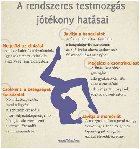 A rendszeres testmozgás jótékony hatásai az egészségre