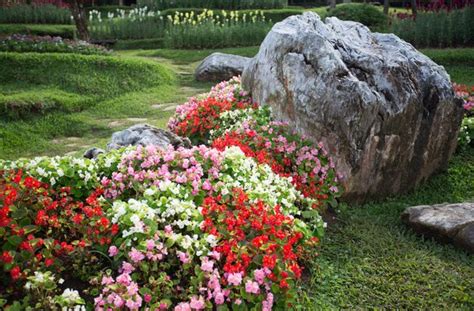 Változatos virágok a kertben