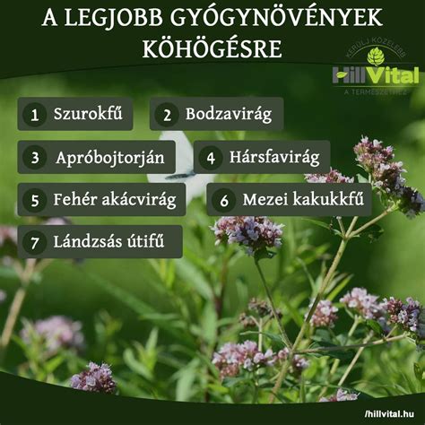 Gyógynövények