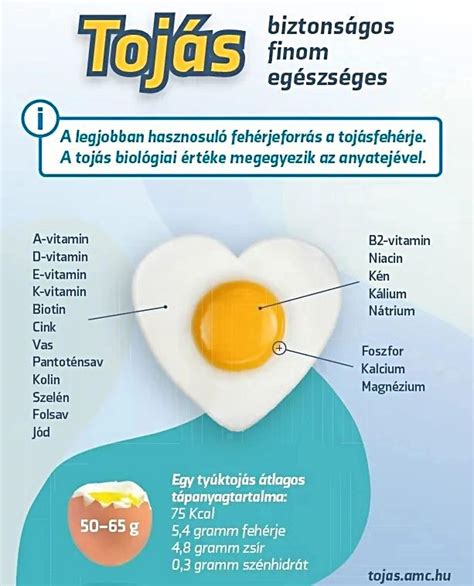 A tojás tápanyagtartalma