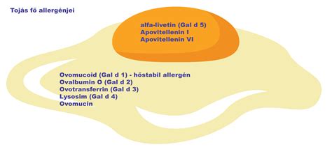 A tojásallergia tüneteinek illusztrációja