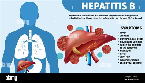 A Hepatitis B terjedési útjai
