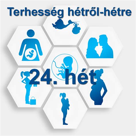A terhesség hetekre bontva