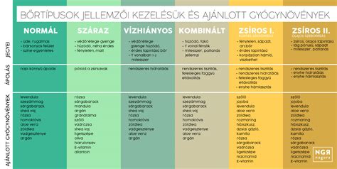 Különböző bőrtípusok és problémák illusztrációja