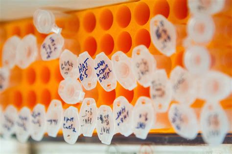 Az IVF eljárás laboratóriumi környezetben