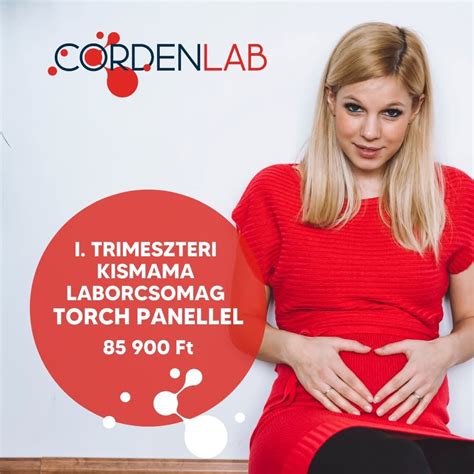 Az első trimeszter fejlődési szakasza