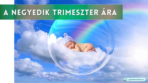 A három trimeszter idővonala
