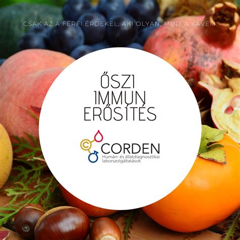 A-vitamin forrásai: máj és zöldségek