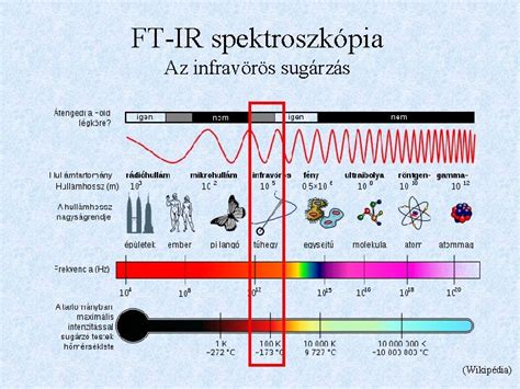 Infravörös sugárzás hatása a bőr mélyebb rétegeire