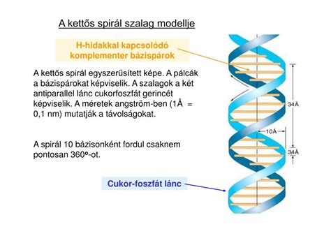 Invista QualloFil hétüreges szál szerkezete
