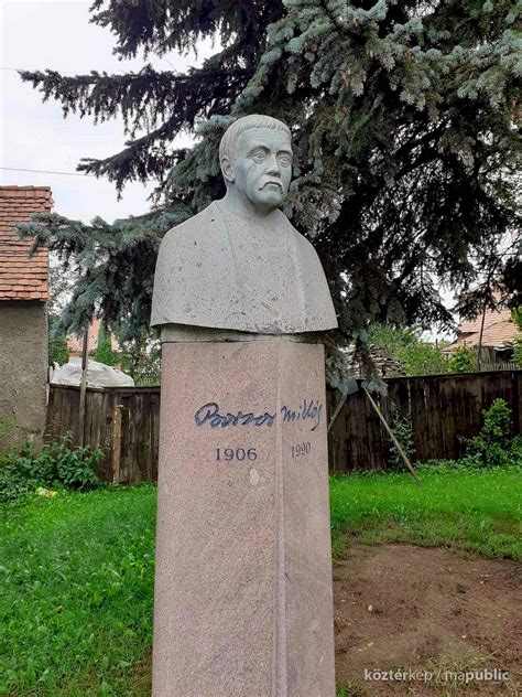 Borsos Miklós portréja