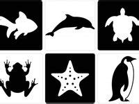 fekete-fehér kontrasztos képek babáknak