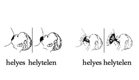 illusztráció a helyes szoptatási testhelyzetről