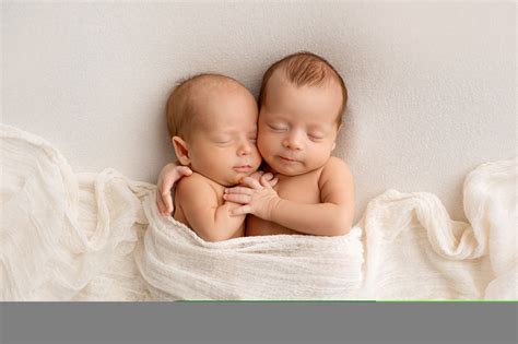 Ikerbabák ultrahangképe