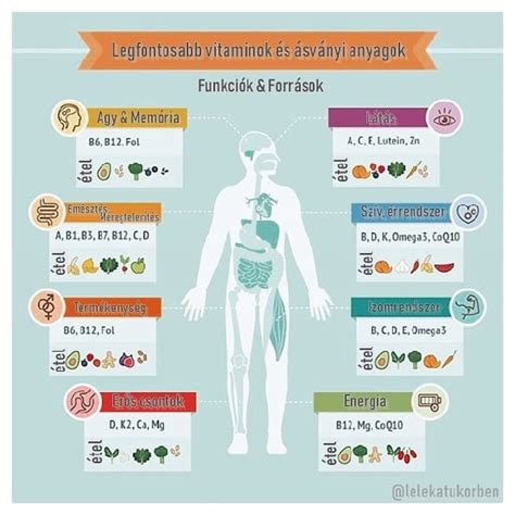 A legfontosabb vitaminok és ásványi anyagok forrásai