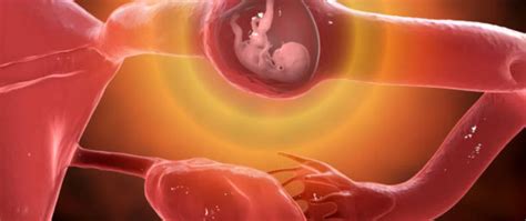 Infografika a méhen kívüli terhesség tüneteiről