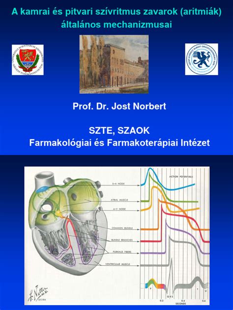 Anyatejcsatorna elzáródás mechanizmusa