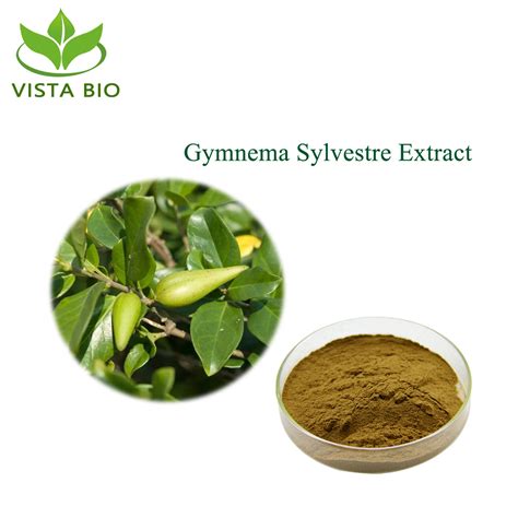 A Gymnema Sylvestre hatásmechanizmusa