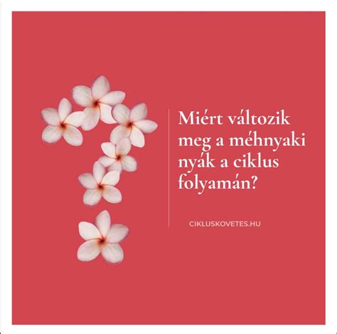 Méhnyaknyák típusai