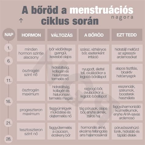 A menstruációs ciklus ábrája