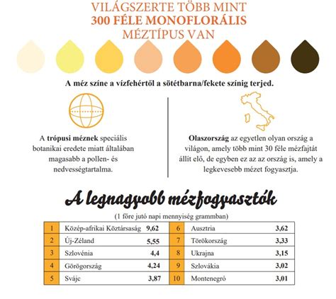 Infografika a magyar családtámogatási rendszerről