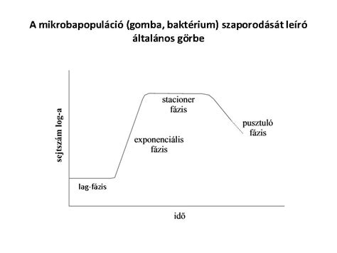 WHO növekedési görbe magyarázata