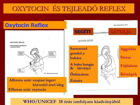A tejleadó reflex és a D-MER kapcsolata