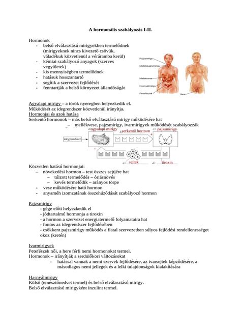 hormonális háttér a termékenységhez