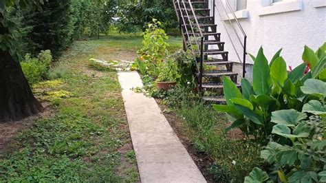 Különböző bébiételek típusai