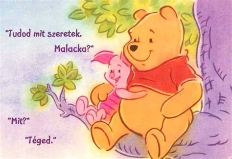 Malacka és sündisznó