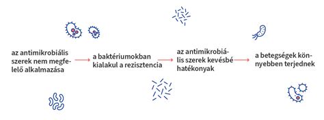Antimikrobiális hatás mechanizmusa