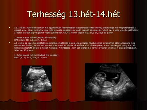 Magzat a terhesség 20. hetében