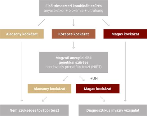 Kombinált teszt folyamata