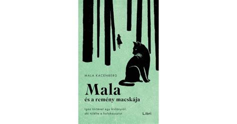 Illusztráció egy macskáról és egy kislányról