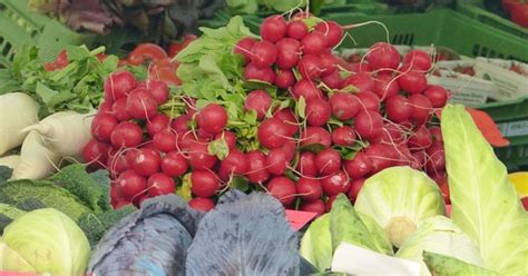 Helyi gazdaság friss zöldségekkel