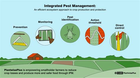 Infografika az integrált növényvédelem elemeiről