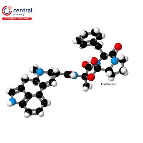 Ergotamin hatása a méhre