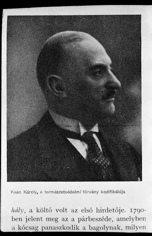 Kaán Károly portréja