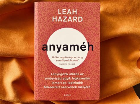 A köldökzsinór és az anyaméh